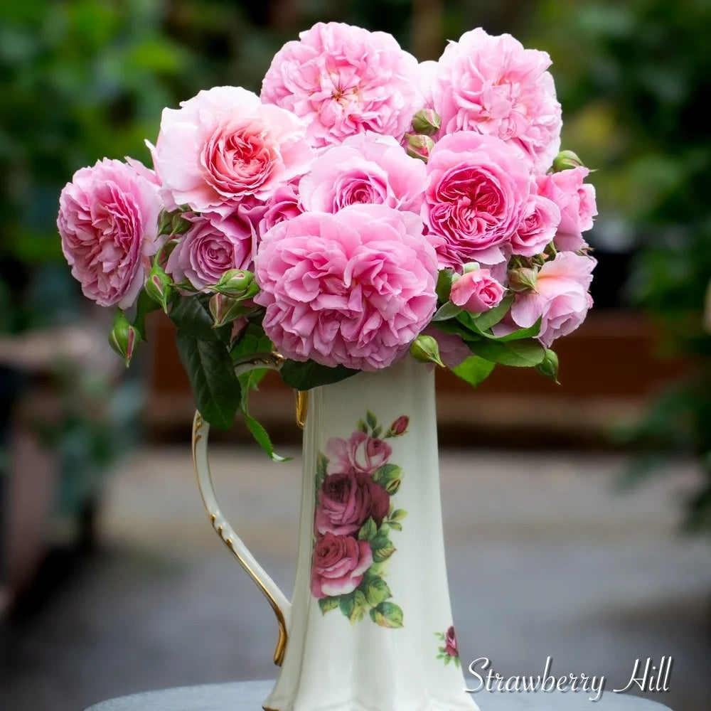 Strawberry Hill