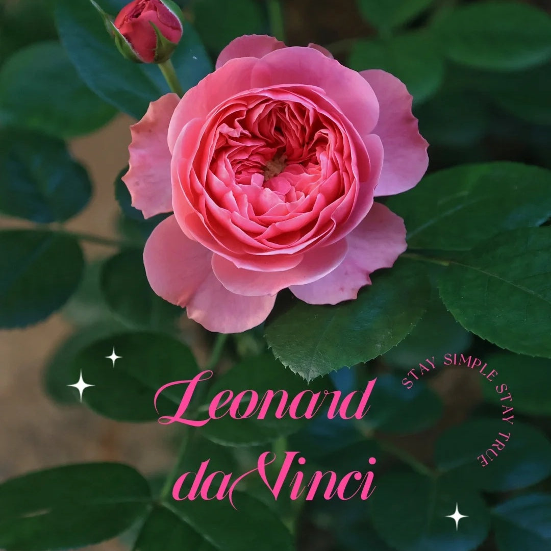Leonardo da Vinci